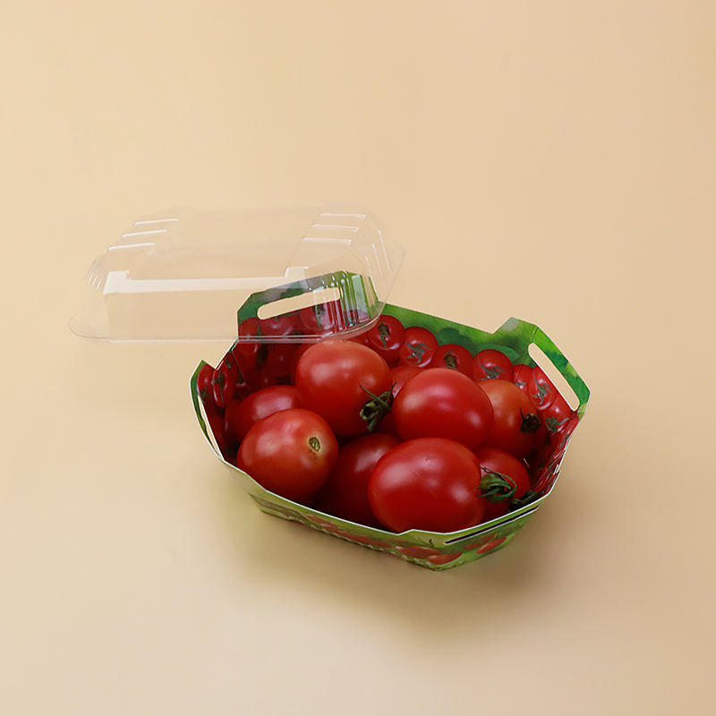 Brugerdefinerede plastik papkasser til frugtpunnetemballagebeholder med låg