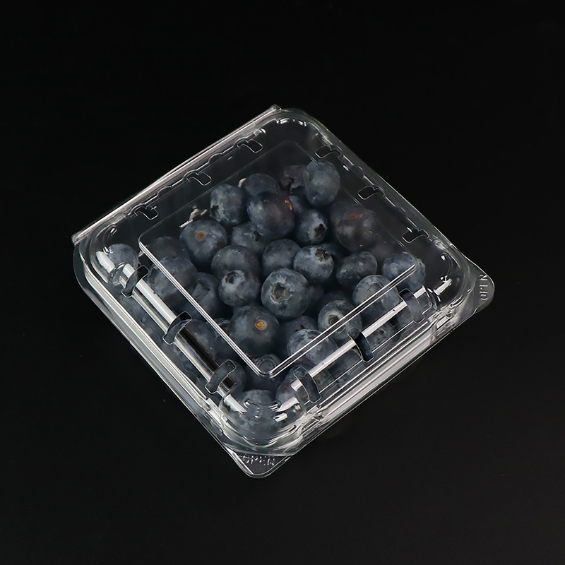 Blueberry Box Fruit Box med låg 103*108*42 mm HGF-125B