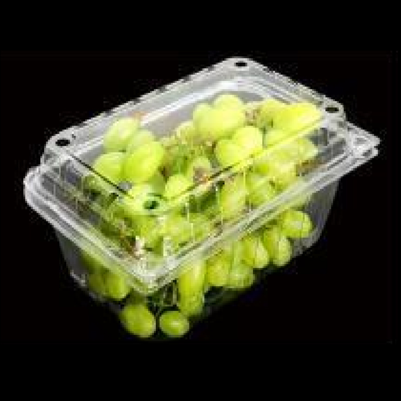 Frugtboks med låg 185*120*85 mm HGF-500C