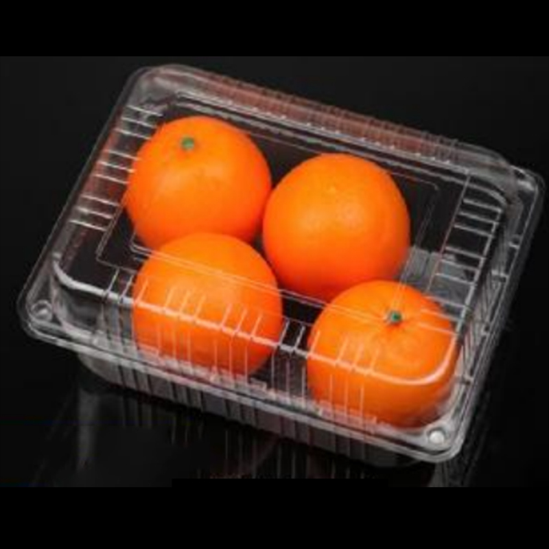 Frugtboks med låg 235*170*90 mm HGF-54C