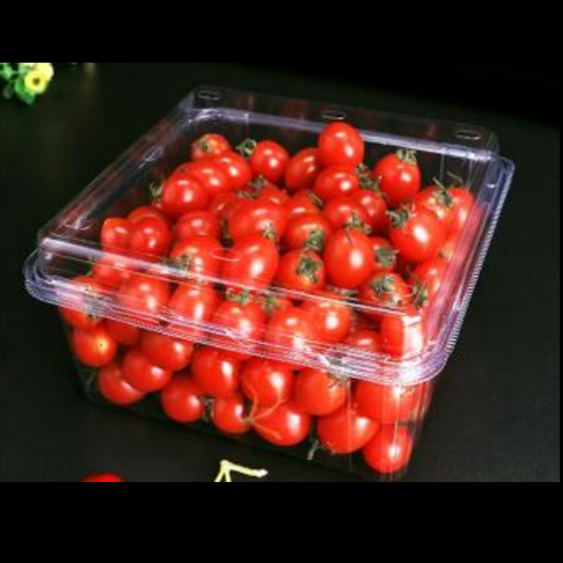 Frugtboks med låg 175*175*90 mm HGF-1000G