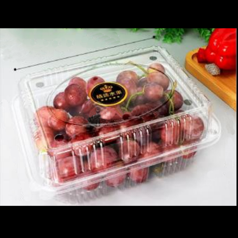 Frugtboks med låg 225*170*90 mm HGF-1000H