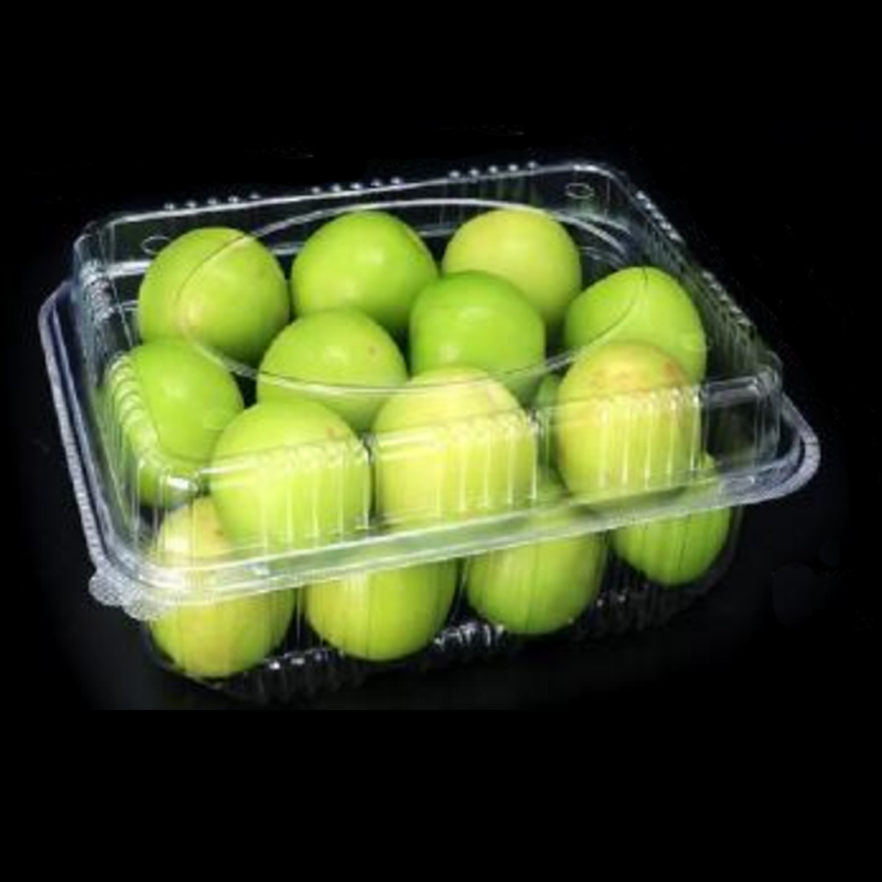 Frugtboks med låg 230*175*90 mm HGF-1000A