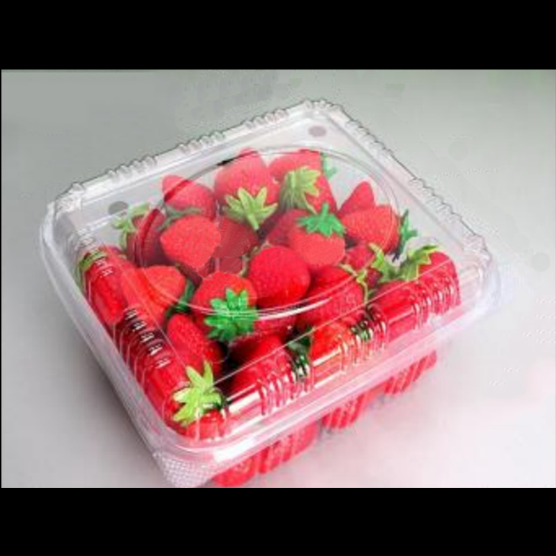 Frugtboks med låg 195*170*90 mm HGF-750B