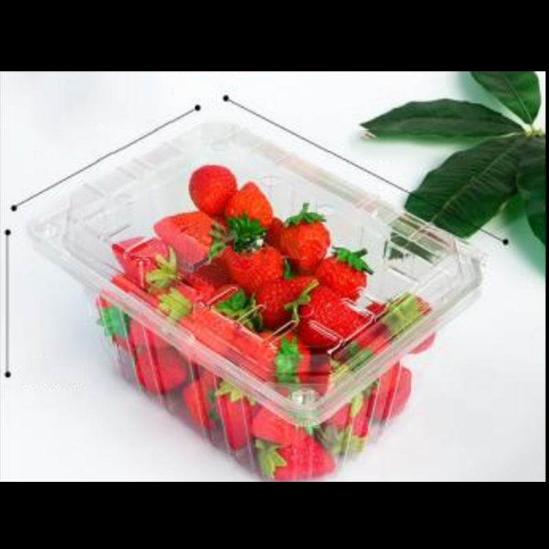 Frugtboks med låg 210*155*100 mm HGF-950A