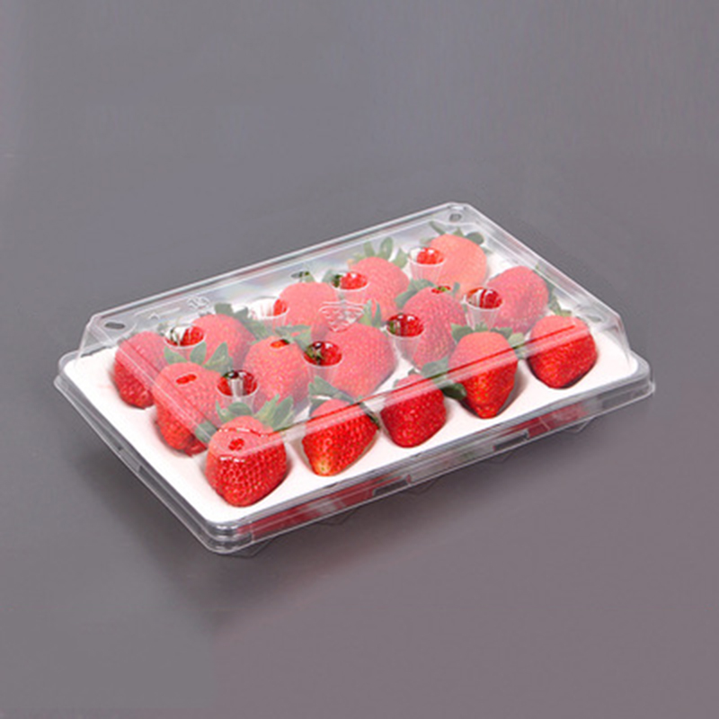 Strawberry Box (15 jordbær) 225*120*40 mm cm-15