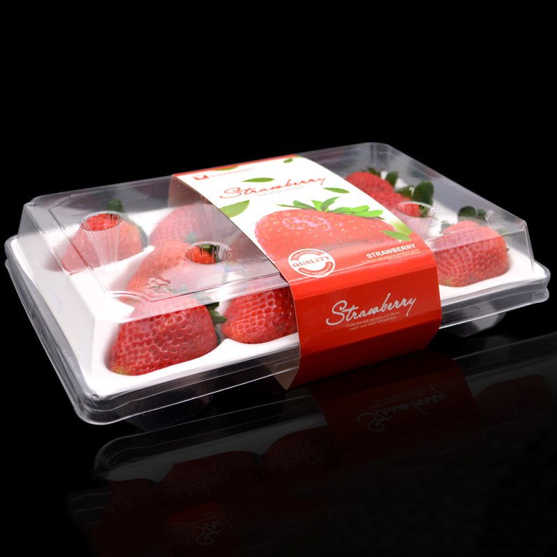 Strawberry Box (11 jordbær) 225*120*40 mm cm-11